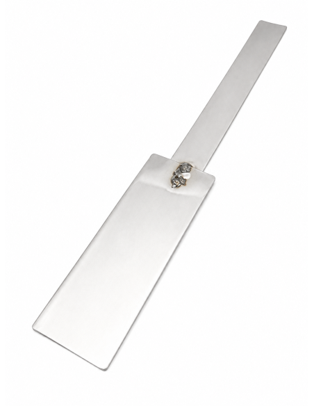 Ánodo inox. 70 × 25 mm + mango| Incogal